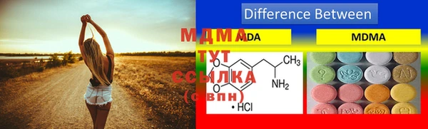 индика Новодвинск