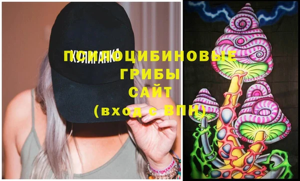 дмт Нягань