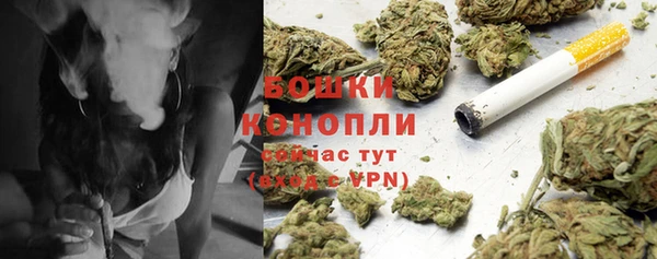 меф Няндома