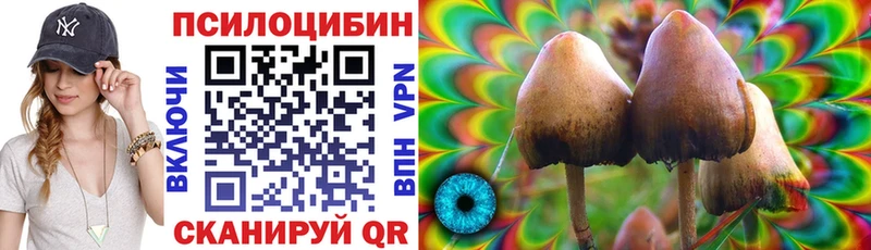 где купить   Сергач  Псилоцибиновые грибы ЛСД 